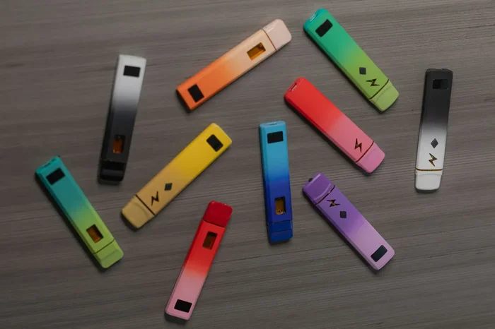 2 Gram Disposable Vapes – 100 Pack