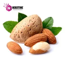 Almond Nixotine (Flavored Nixodine) About Nixotine – Flavored Nixodine® Browse Nixotine® Flavors 🔎︎ Replacement Coils Vaporizors Batteries