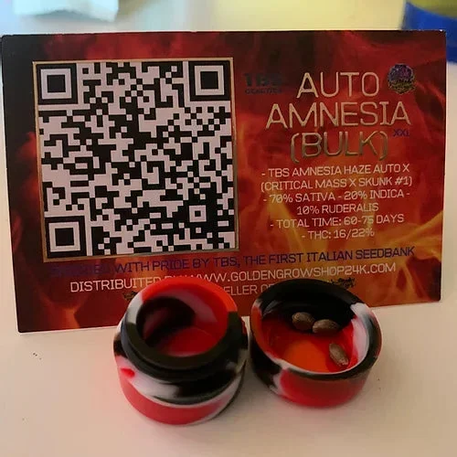 Amnesia Auto 5+1 – TBS Genetics