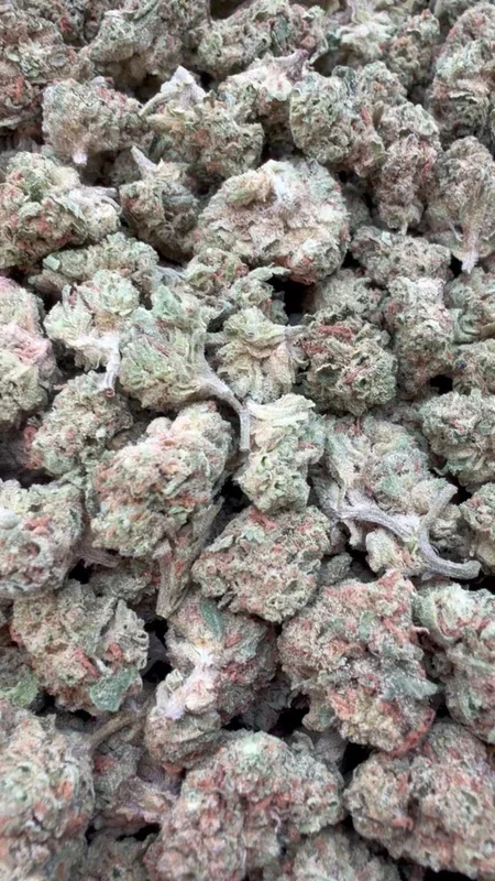 Banana Runtz Minis – Bulk Minis – Hybrid