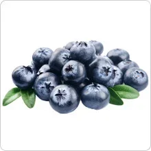 Blueberry (E-Liquid TFE) Tobacco-Free · Nicotine Free(E-Liquid TFE products are not tobacco products) Tobacco-Free · Nicotine Free(E-Liquid TFE products are not tobacco products) 🔎︎   Replacement Coils   Vaporizors   Batteries