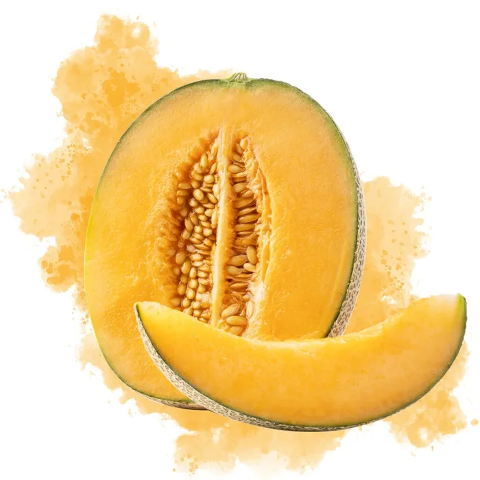 Cantaloupe – DIY Flavor Concentrate