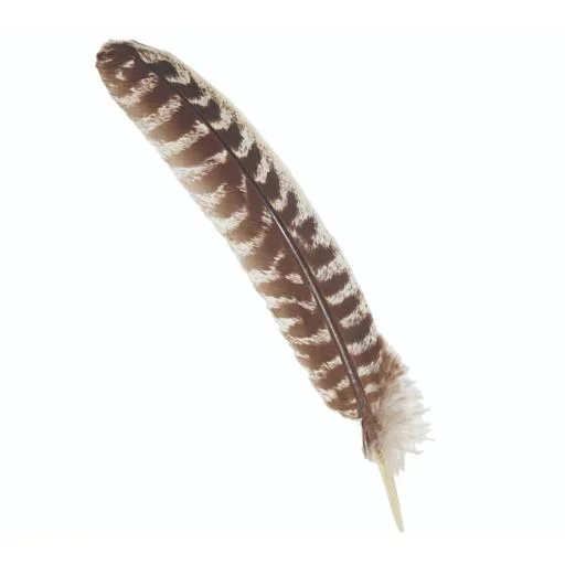 Grade A Smudge Feather Turkey 10″-12″