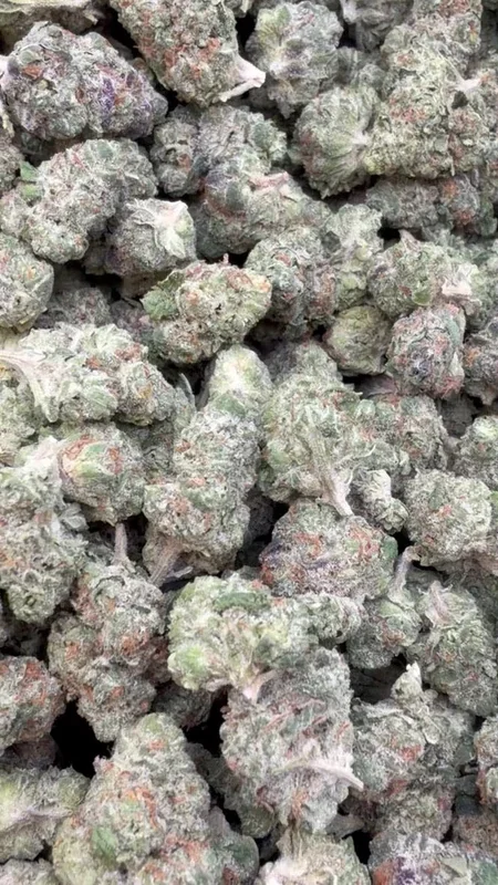 Hella Jelly Minis – Bulk Minis – Sativa
