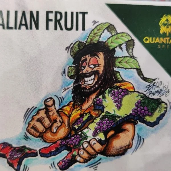 Italian Fruit Auto x 3 – Quantamon Seeds