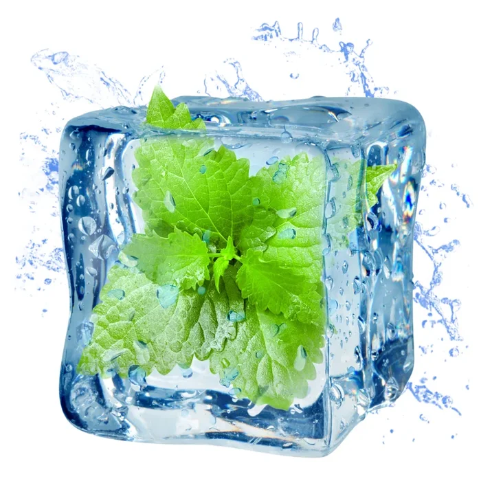 Menthol – DIY Flavor Concentrate