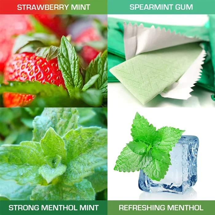 Menthols and Mints Eliquid Trial Pack