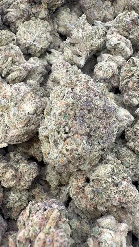 OG Lato – Bulk – Hybrid