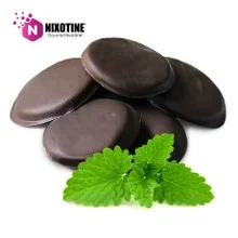 Slim Mint Cookies Nixotine (Flavored Nixodine) About Nixotine – Flavored Nixodine® Browse Nixotine® Flavors 🔎︎ Replacement Coils Vaporizors Batteries