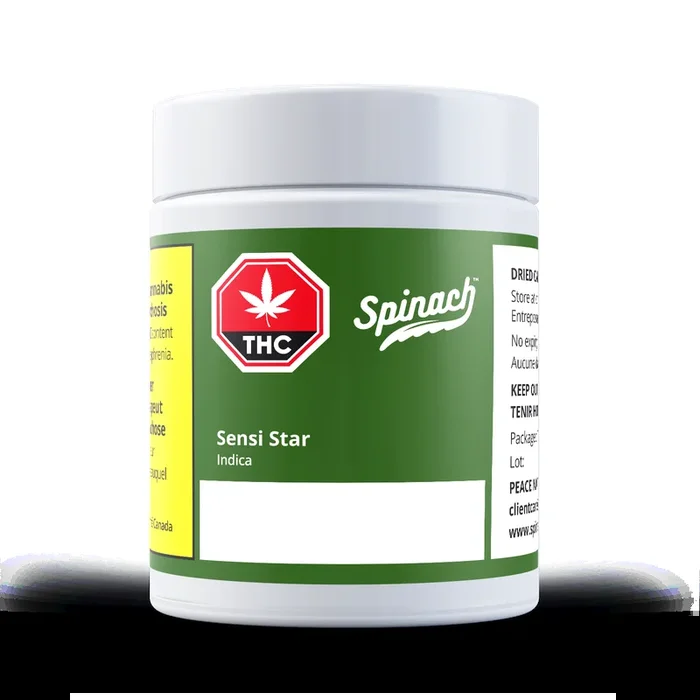 Spinach Sensi Star Flower