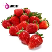 Strawberry Nixotine (Flavored Nixodine) About Nixotine – Flavored Nixodine® Browse Nixotine® Flavors 🔎︎ Replacement Coils Vaporizors Batteries
