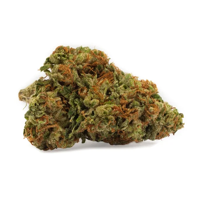 TSK DNA Genetics Kosher Kush
