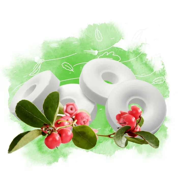 Wintergreen – DIY Flavor Concentrate